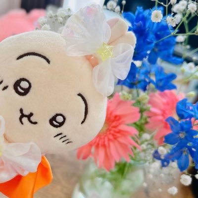 コウ野さんのプロフィール画像