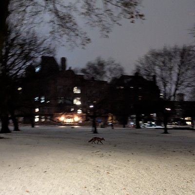 bitpedantic's profile picture. For public replies. Tweets from @zhang_png