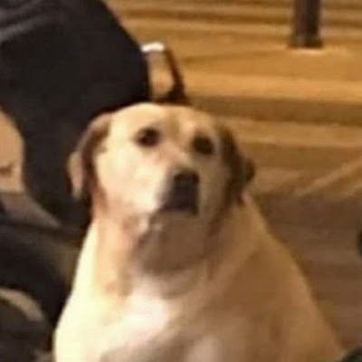 PCinda91115's profile picture. 
