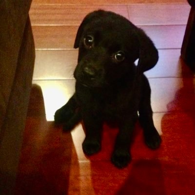 tweetciiiim's profile picture. Your daily dose of viral, interesting, and fun videos