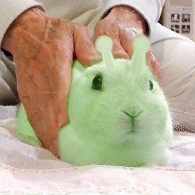 🍪🐀さんのプロフィール画像