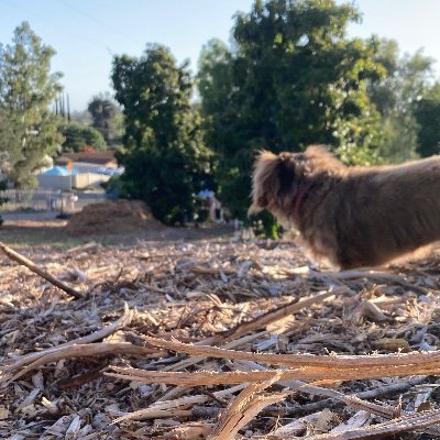 DJSchmitty760's profile picture. 