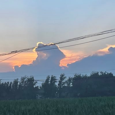 wwwmmm9910's profile picture. 00后新乡情侣，女m，胸大会喷水。寻夫妻、情侣、单女，条件好的单男也考虑。有想法的交流交流