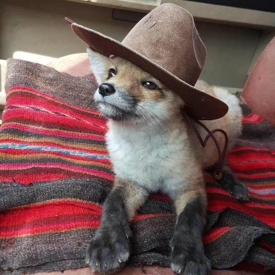 Jackkval_'s profile picture. vcl