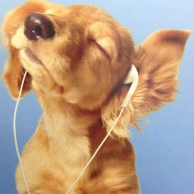 llaricw7's profile picture. 