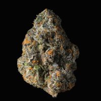 WEED PLUG CONNECTICUT (@weed_plugcc) 's Twitter Profile
