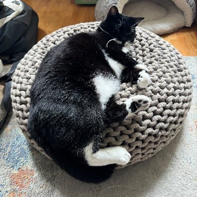 rubykinnso's profile picture. shoe