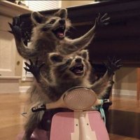 grevit (@grevit_) 's Twitter Profile Photo