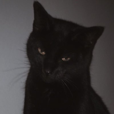 aliyarosex's profile picture. 