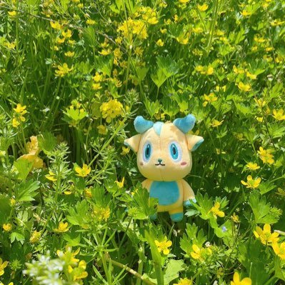 みくさんのプロフィール画像