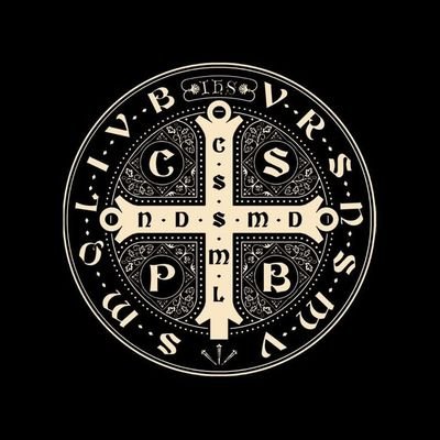 Christian ✝️, Potential Catholic Convert ⛪️, Conservative American 🇺🇲, Sci-fi Nerd 👽, Video-Gamer 🎮