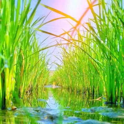 n71768345's profile picture. ❤️❤️‍🔥