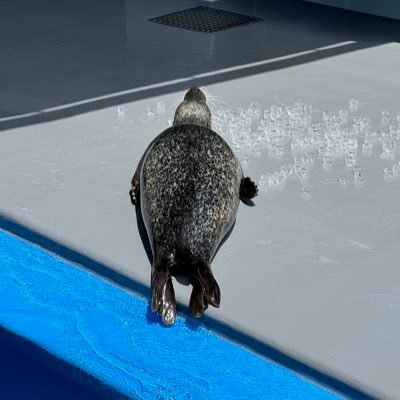 カンタさんのプロフィール画像