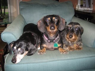 KatherineCaldw3's profile picture. 