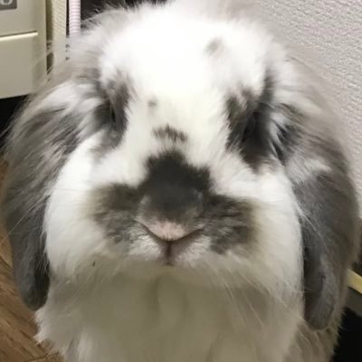 6/12 アカウントが乗っ取られました😭 新たにアカウント作り直し💦 せっかくフォロワーさんになって頂いた方すみません💦 タイプロから、てら推し🩵の箱推しです✨無言フォロー失礼します🙇