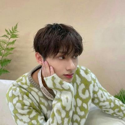 ☘️ Wen Junhui | #세븐틴 ☘️ |
𝙲𝙰𝚁𝙰𝚃 | 𝙴𝙽𝙶𝙴𝙽𝙴 | 𝙰𝚁𝙼𝚈 | 𝙱𝙻𝙸𝙽𝙺 | 𝙴𝚈𝙴𝙺𝙾𝙽