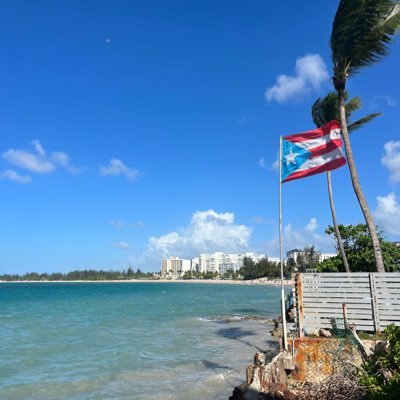 ᴅʀᴀᴡɪɴɢs ᴀɴᴅ sᴋᴇᴛᴄʜᴇs 🇵🇷 Future Marine Biologist