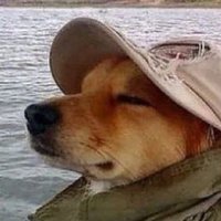 도강 (@adohaoe) 's Twitter Profile