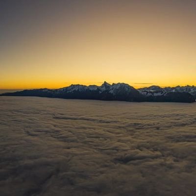 kavitaSing52683's profile picture. अहं ब्रह्मास्मि!!
𝑨𝒎𝒃𝒊𝒗𝒆𝒓𝒕

🌓 Moonchild with a warrior soul👣