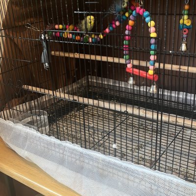 MSALA2000's profile picture. Researcher @Agilest Liberal Humanist