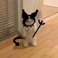 mmmdb (@dbaaa00) 's Twitter Profile
