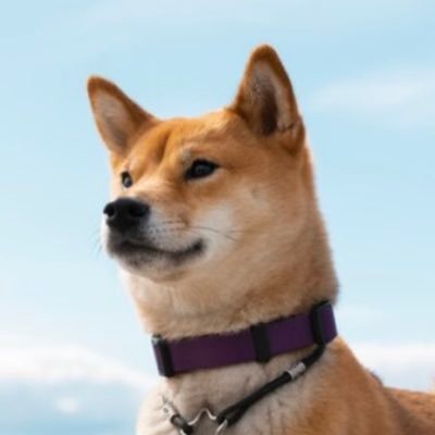 kazeshachiko's profile picture. 藤井風について独り言を呟くだけのアカウント。葉千子(はちこ)は画数で決めました。ユーザー名は「Kaze's Hachikō」の意。これも画数大大吉。藤井風のことしかつぶやきません、たぶん