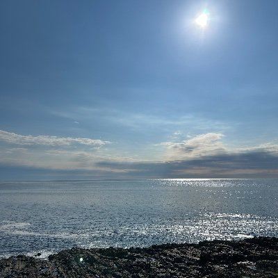 gammiek4's profile picture. 