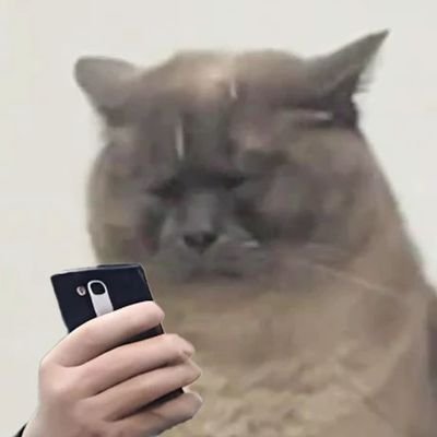 SaulGoodManC99's profile picture. 这不来了吗？老表？🤪