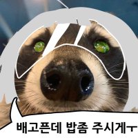 연공계 (@yeon_gong_gae) 's Twitter Profile Photo 연공계 (@yeon_gong_gae) 's Twitter Profile Photo
