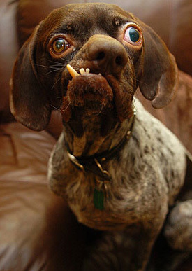 Mauroeli's profile picture. 