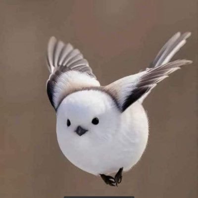 ilsolesorgera's profile picture. GuideMi