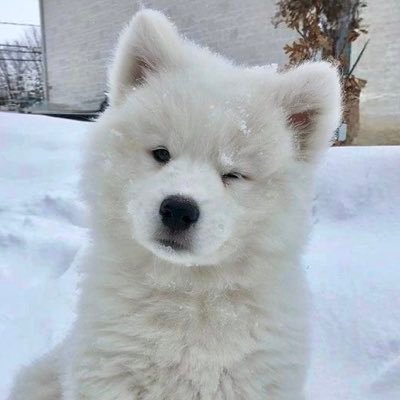 utopiaofA's profile picture. #PHUTATCHAI ꒰ ՞っ·̫ ‹.՞ ꒱