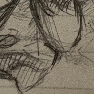 りさんのプロフィール画像