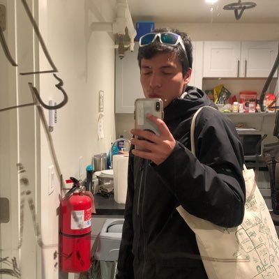 voidjeanpi's profile picture. just an auditor with a beagle and a death wish for balance sheets