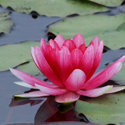 shivoham2021's profile picture. Being.