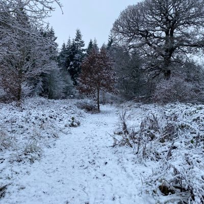 peac43901's profile picture. 