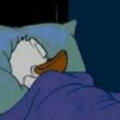 konkordian's profile picture. Dzień dobry