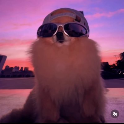 Bafze Profile