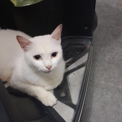 engineerinq's profile picture. 