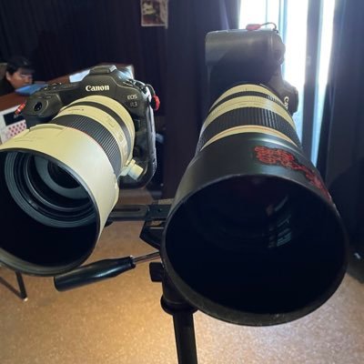 kzm93's profile picture. 掲載写真の転載及び二次使用は本人及び所属事務所を除きお断りします