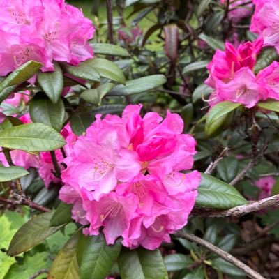 urbestie13's profile picture. 