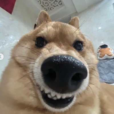 Flaqk0's profile picture. 