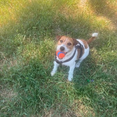 15pages's profile picture. poca