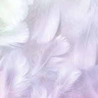 taka (@taka_t1231) 's Twitter Profile