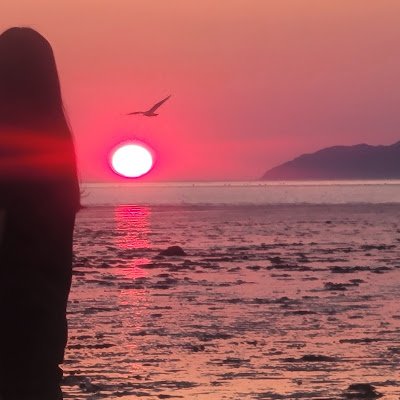 NgChoi967699's profile picture. 