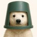 BUCKET Official (@bucketonsolana) Twitter profile photo BUCKET Official (@bucketonsolana) Twitter profile photo