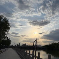 Zhang (@zhang428810) 's Twitter Profile