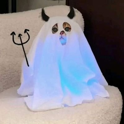 probash1447710's profile picture. 