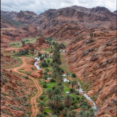 MohamedAlmirii's profile picture. 