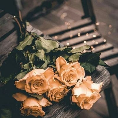 SimplyMABulous's profile picture. Fé !